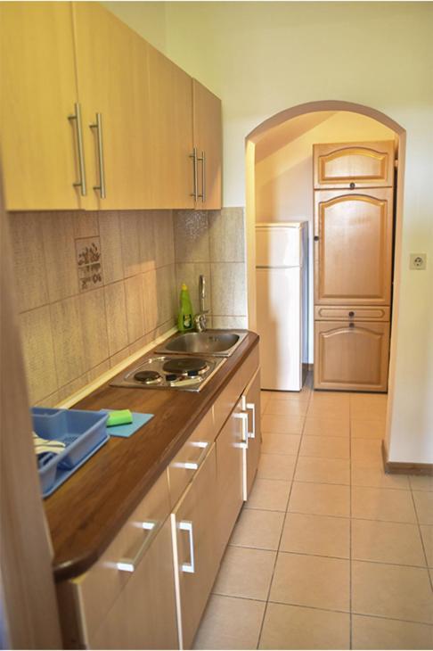 Vila Mila Petrovac Bagian luar foto