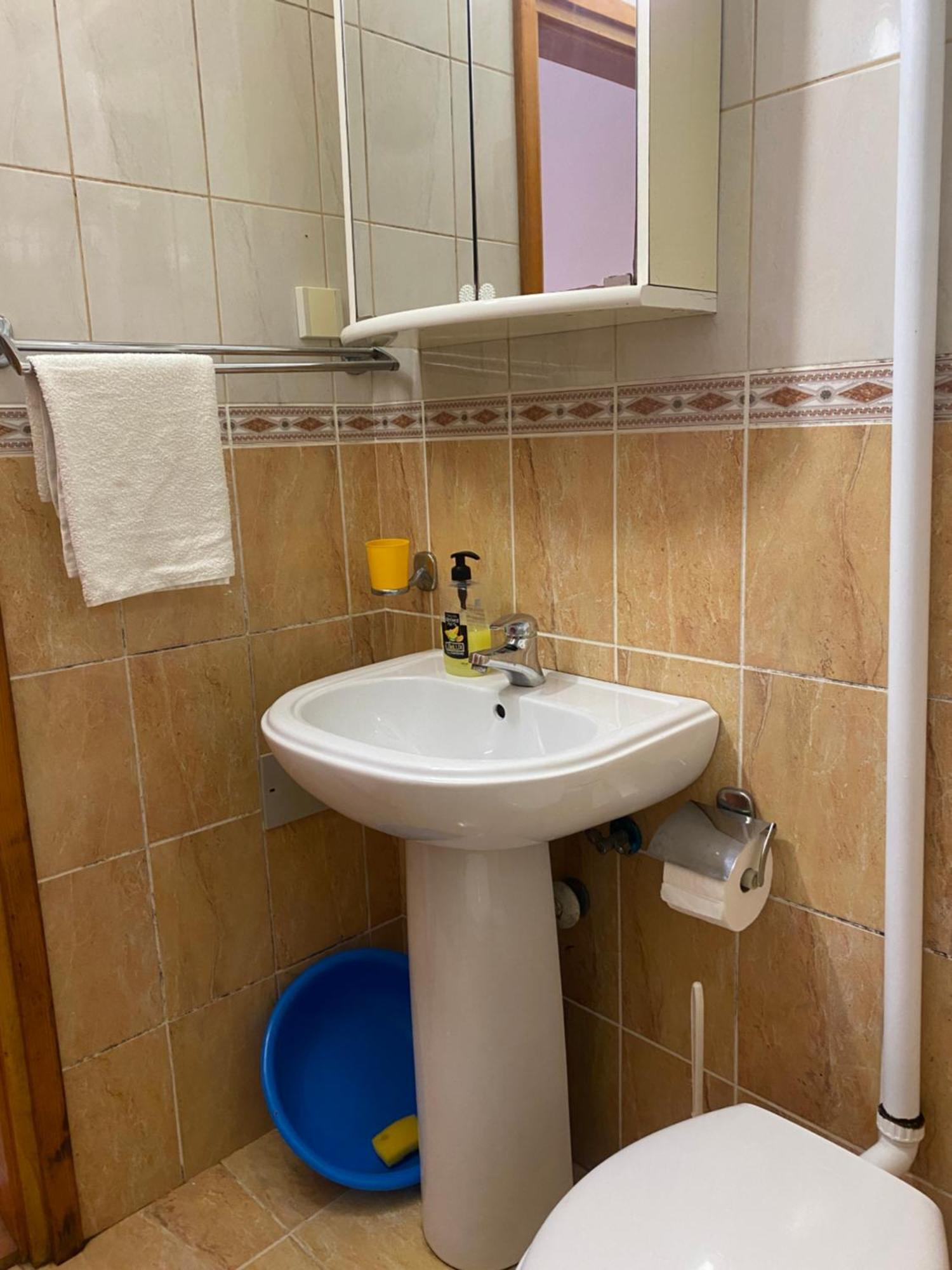Vila Mila Petrovac Bagian luar foto